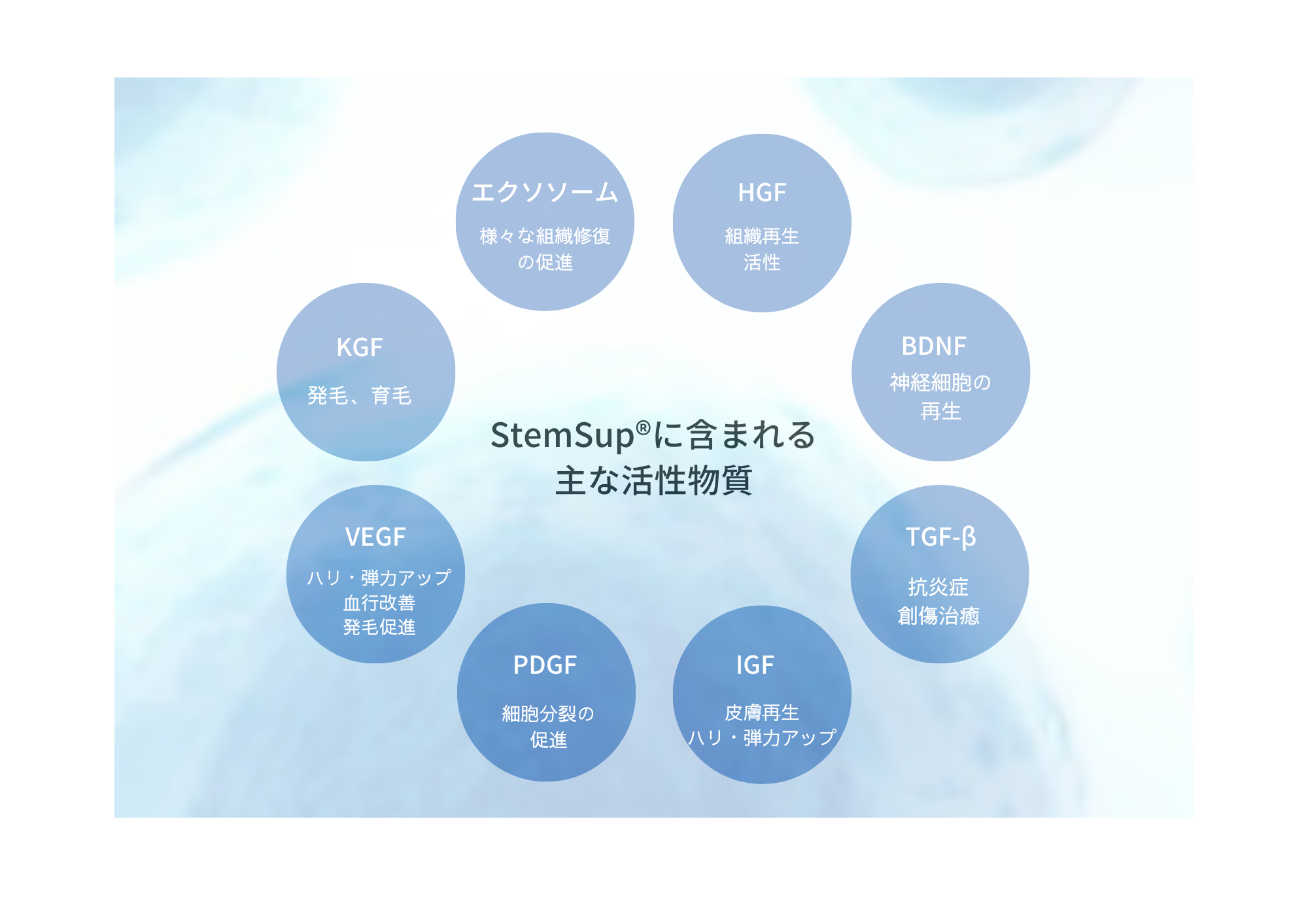 StemSupに含まれる主な活性物質